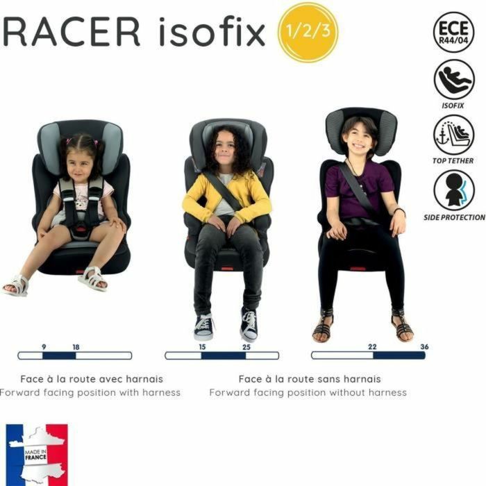 Silla para el Coche Nania Cebra ISOFIX 1 Silla para el Coche Nania Cebra ISOFIX 1