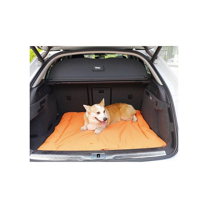 Cojin Coche Perro 2 Caras PS1114