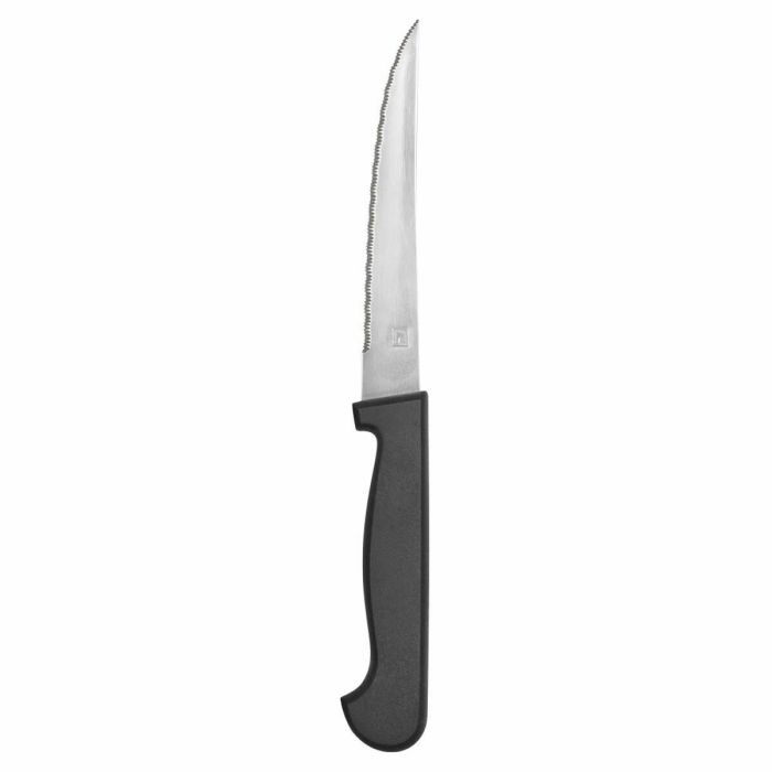 Cuchillo para Carne Amefa Metal Bicolor 21 cm 12 Unidades 1