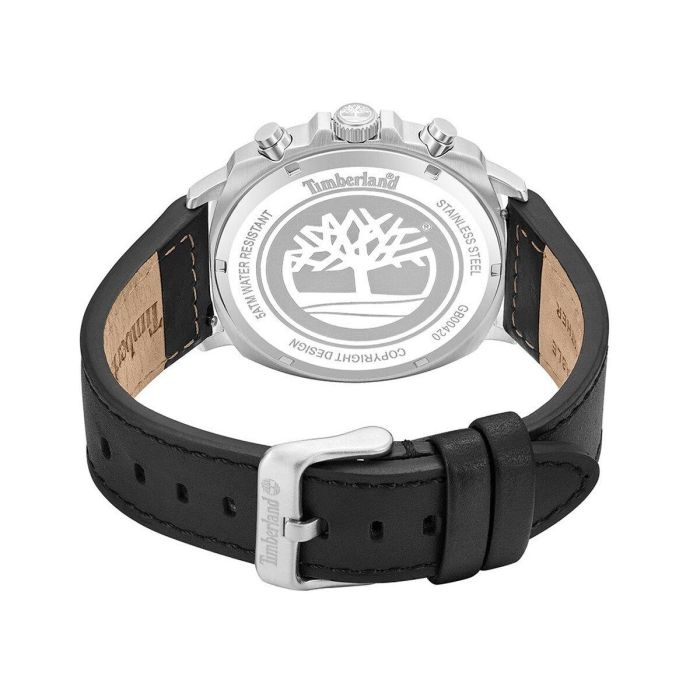 Reloj Hombre Timberland TDWGB0042008 Reloj Hombre Timberland TDWGB0042008