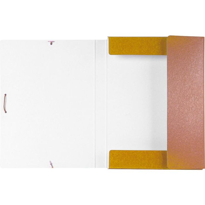 Carpeta Proyectos Liderpapel Folio Lomo 30 mm Carton Gofrado Amarilla 1