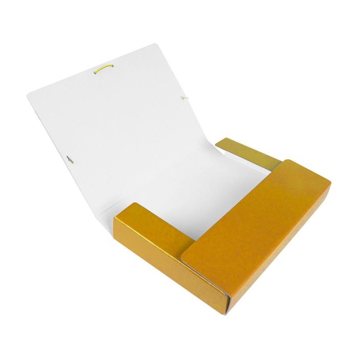 Carpeta Proyectos Liderpapel Folio Lomo 50 mm Carton Gofrado Amarilla 3