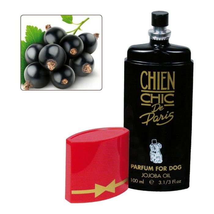 Perfume para Mascotas Chien Chic Perro Grosella (100 ml)