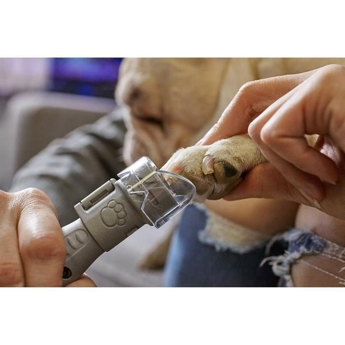 Dremel 7020 Amoladora de Uñas para Perros Inalámbrica con Baterías y 4 Discos para Limado Seguro en Casa 2 Dremel 7020 Amoladora de Uñas para Perros Inalámbrica con Baterías y 4 Discos para Limado Seguro en Casa 2