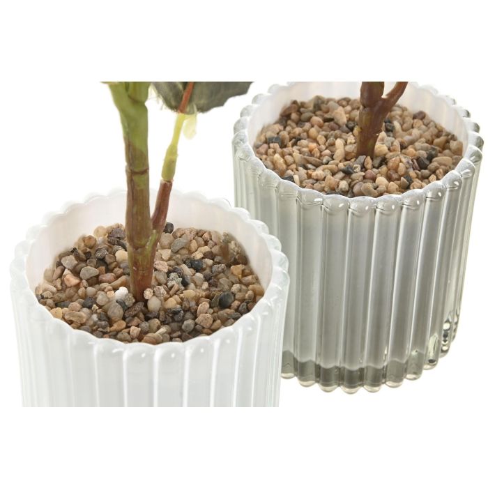 Planta Shabby DKD Home Decor Rosa Blanco 18 x 31 x 18 cm (6 Unidades) 2