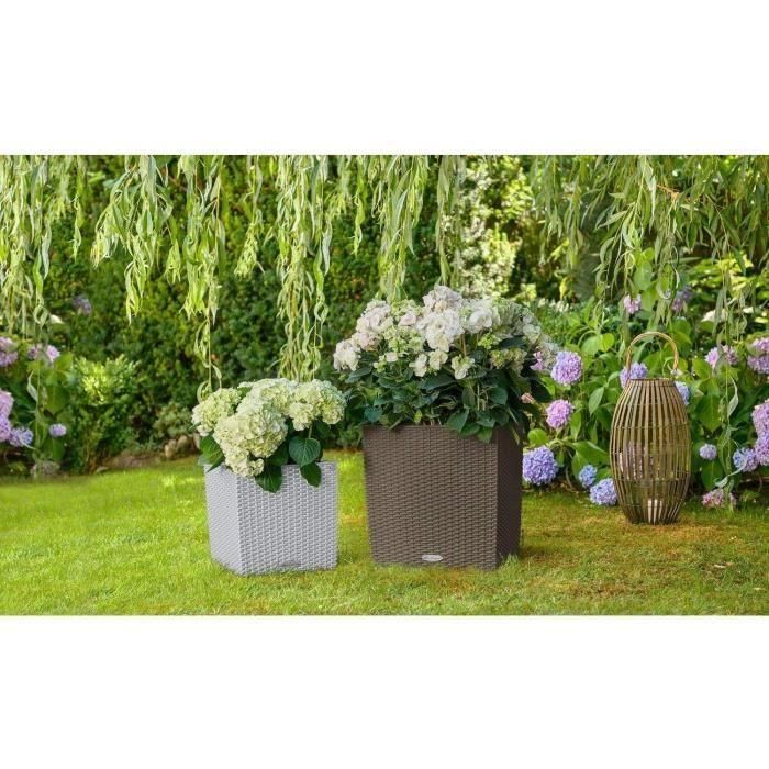 Maceta LECHUZA Cube Cottage 50 - juego completo, gris claro 4 Maceta LECHUZA Cube Cottage 50 - juego completo, gris claro 4