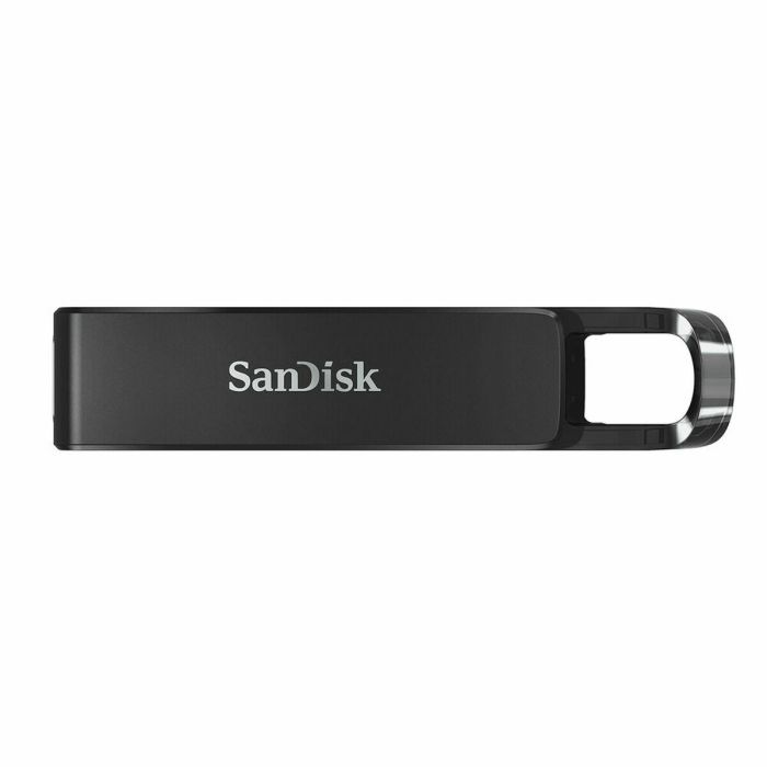 Memoria USB SanDisk SDCZ460-256G-G46 3