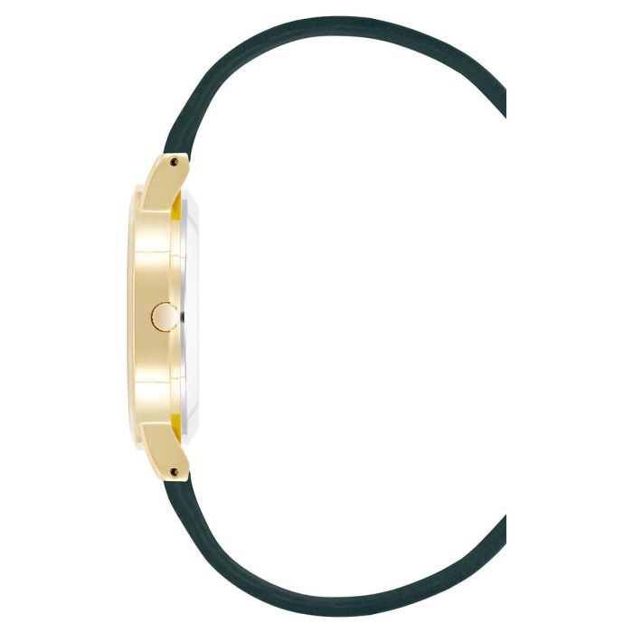 Reloj Mujer Juicy Couture JC1344GPGN (Ø 36 mm) 1