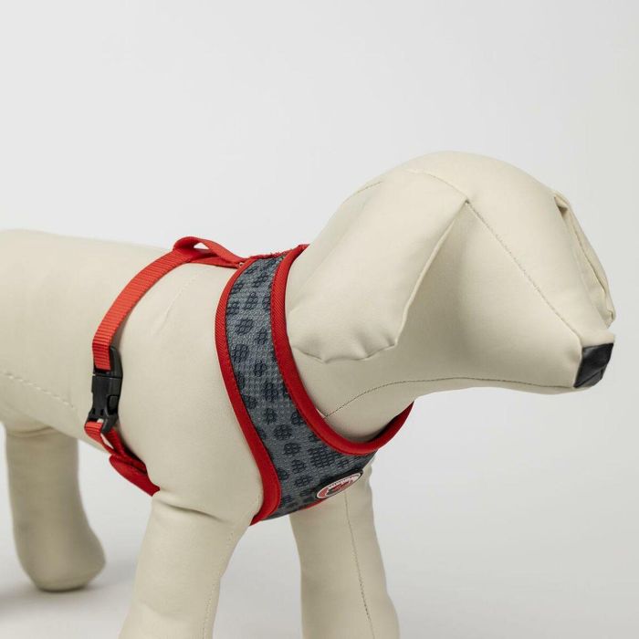 Arnés premium para perros XXS/XS minnie t1XXS:XXS/XS 6 Arnés premium para perros XXS/XS minnie t1XXS:XXS/XS 6