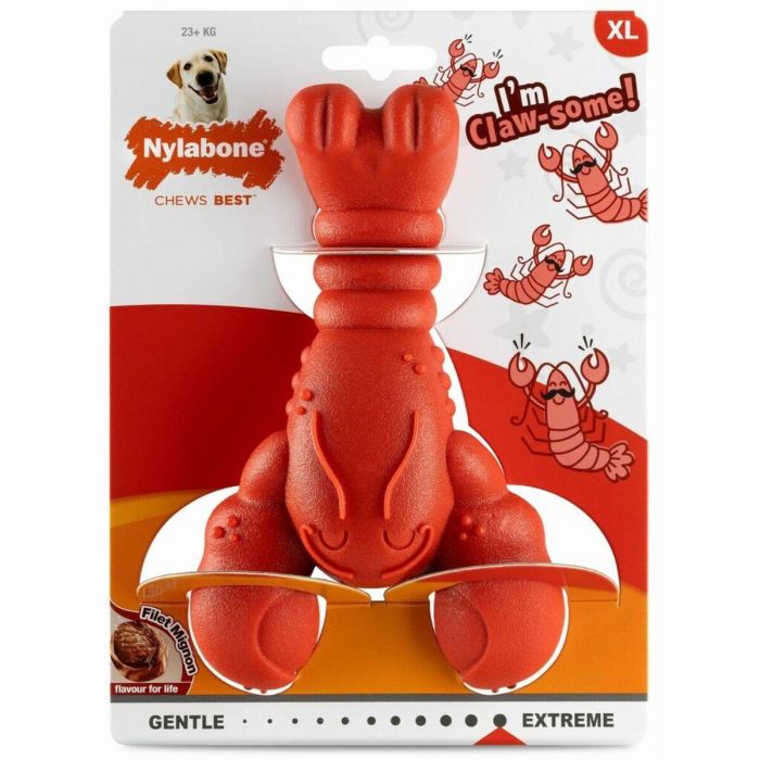 Mordedor de perro Nylabone Rojo Carne de vacuno Artificial XL 1