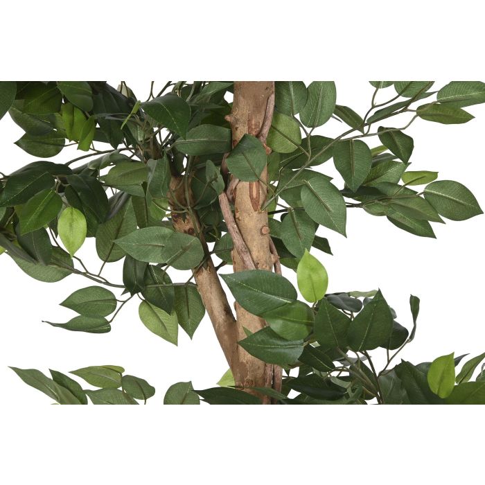 Planta  DKD Home Decor Verde 56 x 150 x 56 cm (2 Unidades) 2