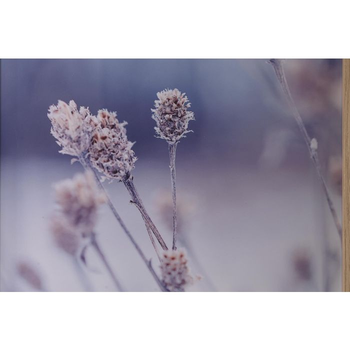 DKD Home Decor Cuadro Scandi Multicolor 60 x 40 cm Lienzo Pino Set de 6 2