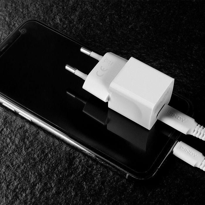 Lindy 20W, USB-C, Power Delivery 3.0, 100-240VAC, 50/60Hz, 0.6A 4