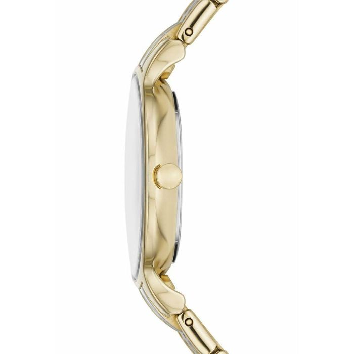 Reloj Mujer Skagen SKW3132 3 Reloj Mujer Skagen SKW3132 3