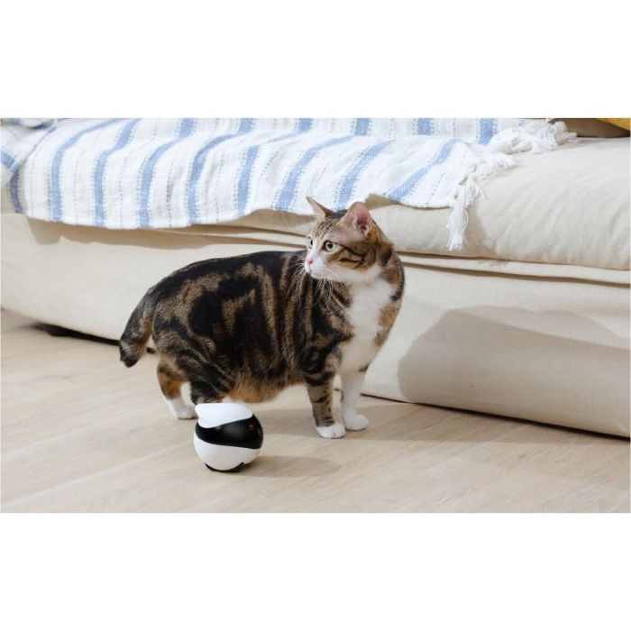 Enabot EBO SE Robot Mascota con Cámara 1080p, WiFi, App, Visión Nocturna y Láser 12 Enabot EBO SE Robot Mascota con Cámara 1080p, WiFi, App, Visión Nocturna y Láser 12