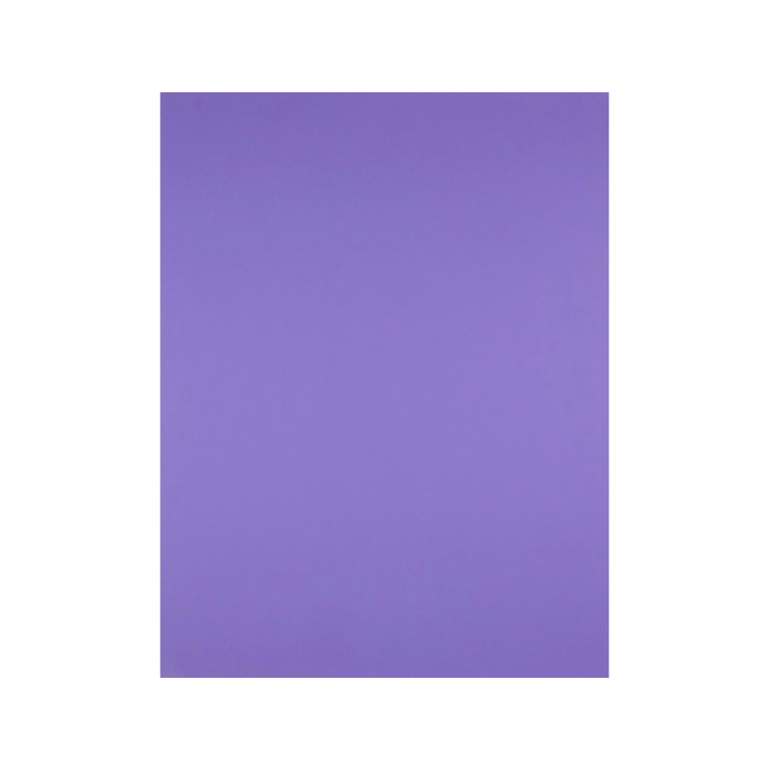 Liderpapel Cartulina 50x65 cm 240 g/m2 Violeta para Dibujo y Manualidades 1 Liderpapel Cartulina 50x65 cm 240 g/m2 Violeta para Dibujo y Manualidades 1