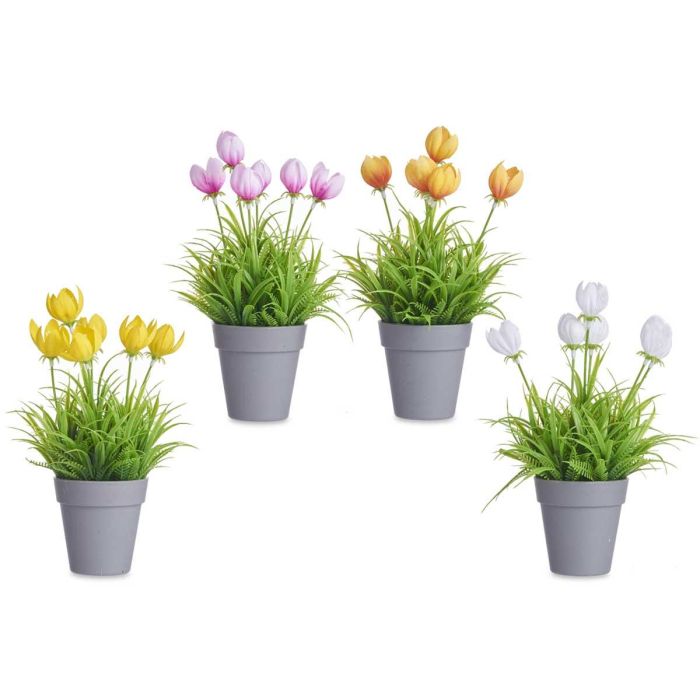 Maceta Tulipan Surtidos Ibergarden 14x21x14cm (24 Unidades) 1 Maceta Tulipan Surtidos Ibergarden 14x21x14cm (24 Unidades) 1