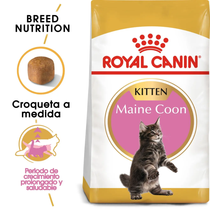 Royal Canin Feline Kiiten Maine Coon 10 kg