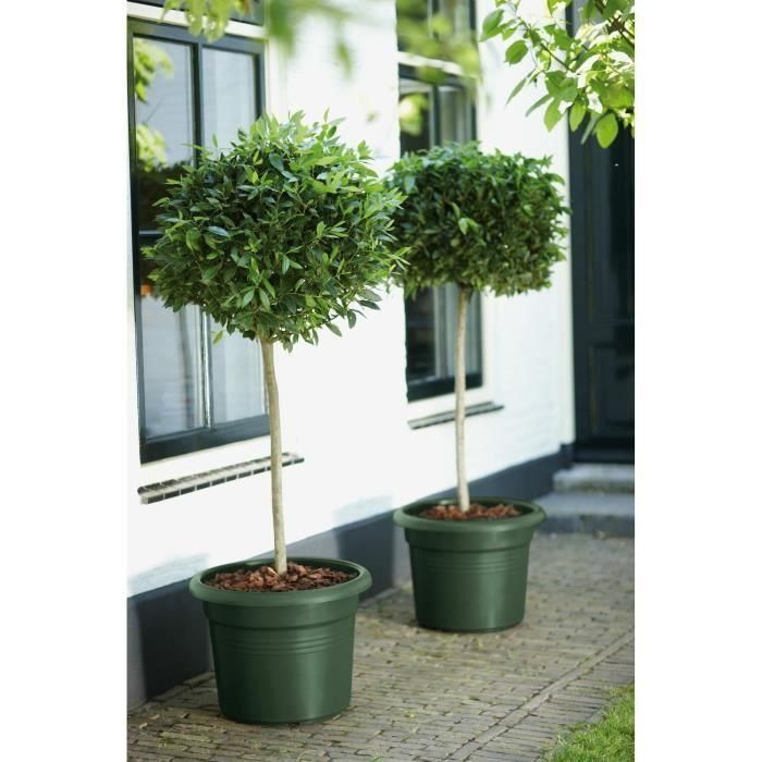 Jardinera Elho Green Basics Cilinder 55 - Verde - Ø 54 x H 41 cm - exterior - 100% reciclado 3