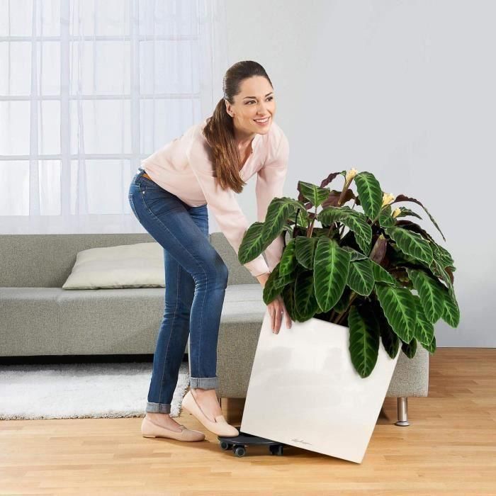 Lechuza LEC4008789165657 Macetero Cube Premium 50, juego completo, color topo brillante 2