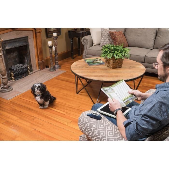 Petsafe LITE 300 m Sistema de Entrenamiento para Perros con Estimulación, Vibración y Sonido, Alcance 300m, 15 Niveles, Impermeable, Recargable 2