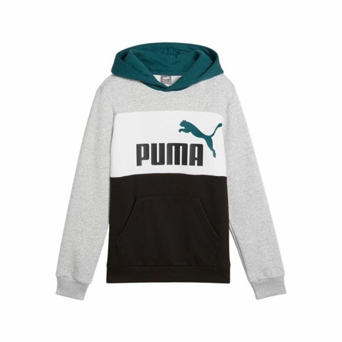 Sudadera con Capucha Niño Puma Essentials Block 5 0 Sudadera con Capucha Niño Puma Essentials Block 5 0