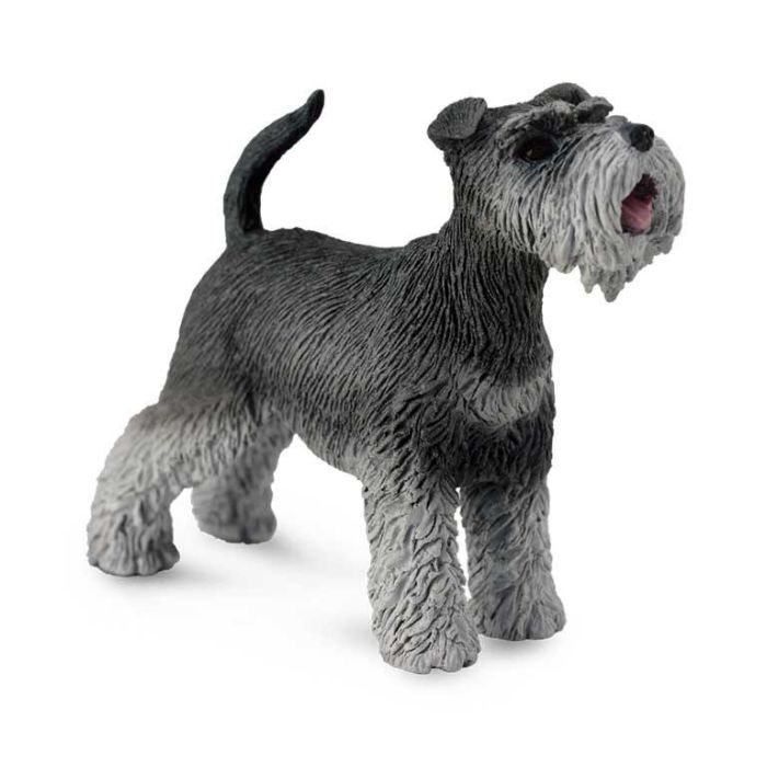 Schnauzer - M - 88752 - Collecta Schnauzer - M - 88752 - Collecta