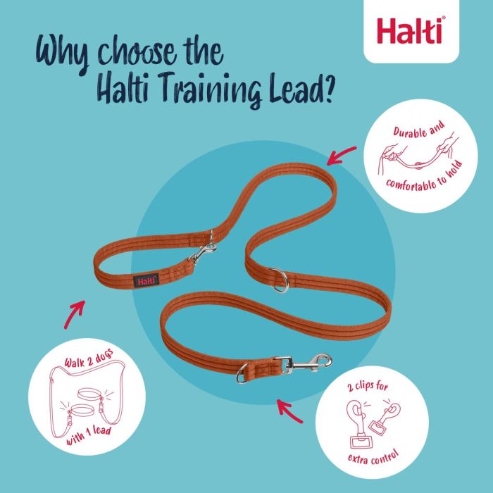 Correa de adiestramiento Company of Animals BURNT Naranja 11