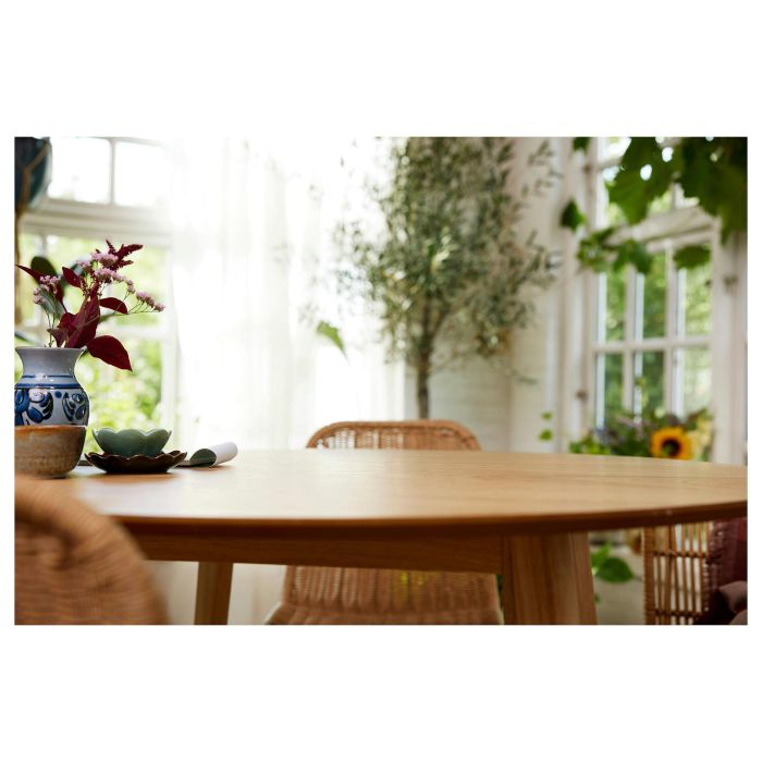 Lego 10331 Icons Kingfisher (Kungsfiskare) Fauna 2024 V29 - Set de construcción de kungsfiskare para adultos con soporte de exhibición