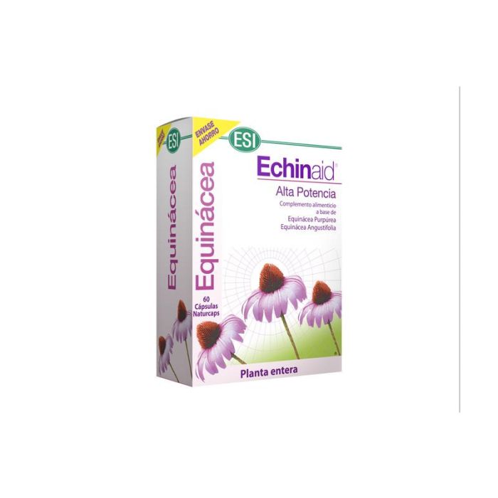 Echinaid 60 Cap. Echinaid 60 Cap.