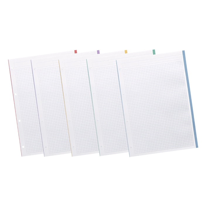 Liderpapel Recambio A4 200+50 Hojas 90gr Cuadro 5mm 4 Taladros Bandas de 5 Colores 5