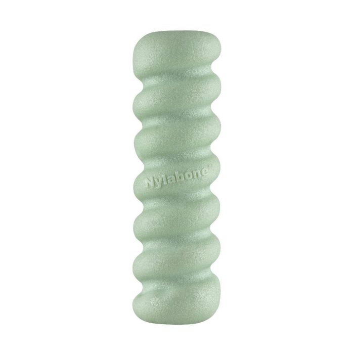 Mordedor de perro Nylabone SENSORY TACTILE STICK Verde Manteca de cacahuete Bacon S 3 Mordedor de perro Nylabone SENSORY TACTILE STICK Verde Manteca de cacahuete Bacon S 3