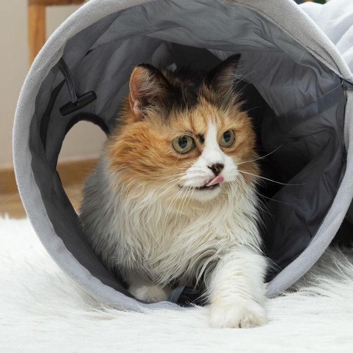 Túnel Plegable para Mascotas Funnyl InnovaGoods 7