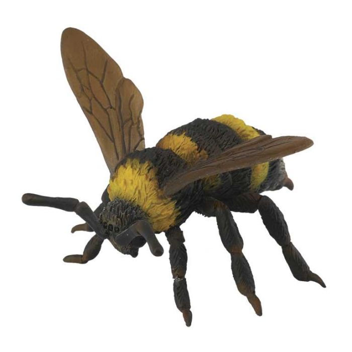Collecta 88499 Figura Abejorro Réplica Real a Escala L Pintada a Mano Detallada Colección Insectos Educativa +3 Años Collecta 88499 Figura Abejorro Réplica Real a Escala L Pintada a Mano Detallada Colección Insectos Educativa +3 Años