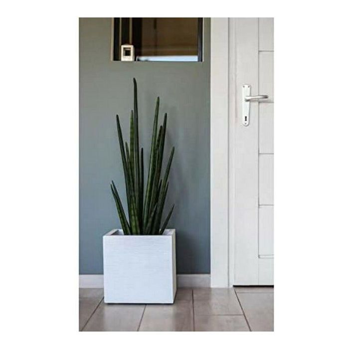EDA PLASTIQUE Caja de flores cuadrada Graphit Up - 21 L - 29.5 x 29.5 x 29.5 cm - Cerusie blanco 3 EDA PLASTIQUE Caja de flores cuadrada Graphit Up - 21 L - 29.5 x 29.5 x 29.5 cm - Cerusie blanco 3