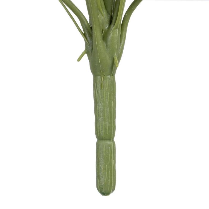 Rama Caladio Rojo-Verde "Pvc" 39 X 34 X 44 cm