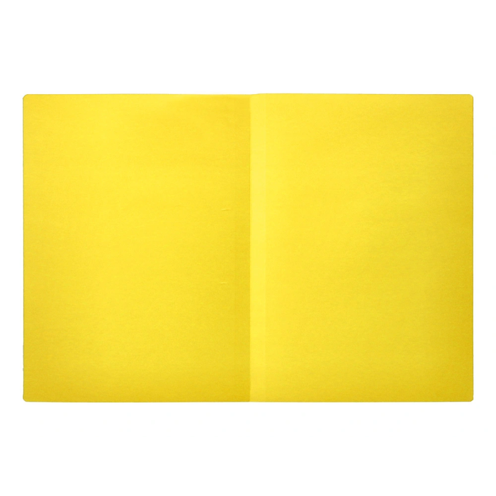 Liderpapel Subcarpeta Folio Amarillo Intenso 180g/m2 6