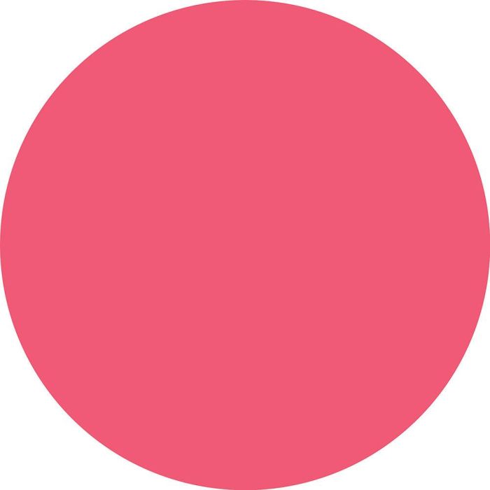 Catrice Glass Like Brillo de Labios en Barra #030 - Talk Hibiscus To Me, 3 gr | Labios Luminosos y Suaves con Ácido Hialurónico, Brillo de Cristal e Hidratación 24h