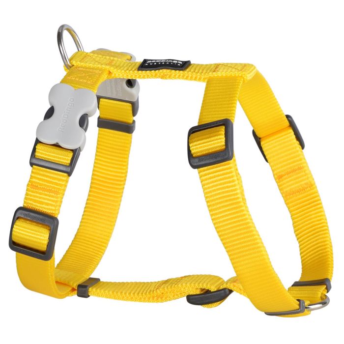Red Dingo Arnés Petral Liso Nylon Amarillo 12mm para Perro, Ajustable Cuello 25-39cm y Cuerpo 30-44cm, Fácil de Poner y Quitar