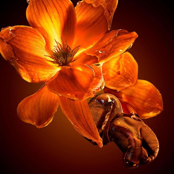 Hugo Boss The Scent Eau de Parfum Intense for Her 50 ml 3