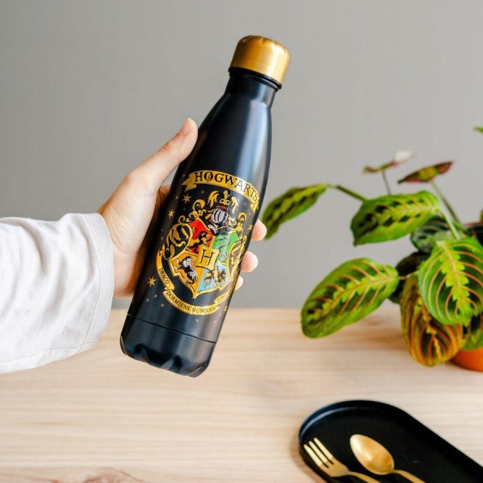 Botella acero inoxidable Hogwarts Harry Potter 500ml 6 Botella acero inoxidable Hogwarts Harry Potter 500ml 6
