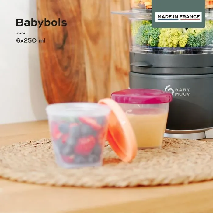 Babymoov Babybols Kit L - 6 x 250 ml - Tarros herméticos para comida de bebé 1