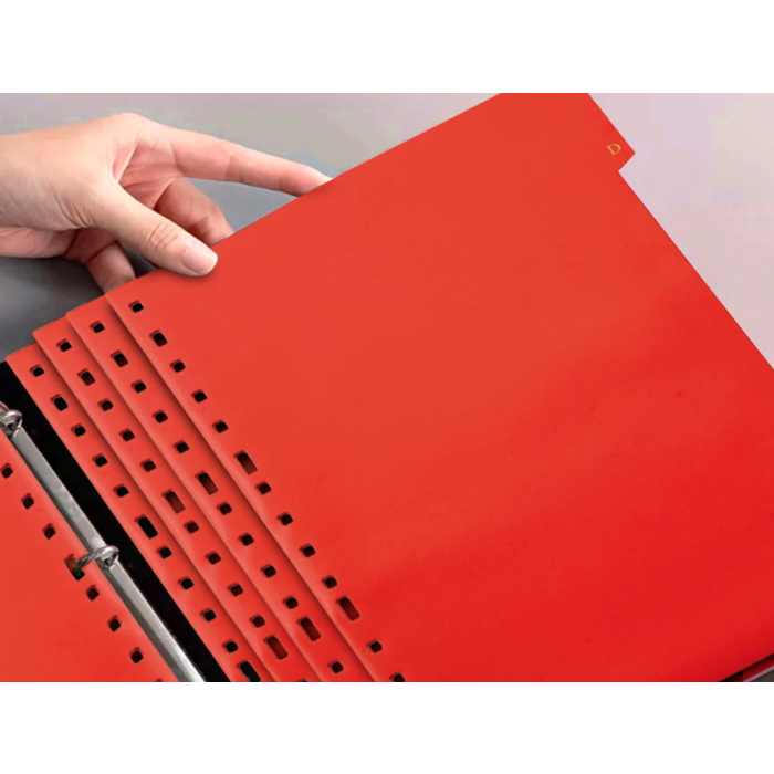 Liderpapel Separador Plástico Alfabético A-Z Cuarto para Documentos 11 Taladros PVC 160 Micras 3x210x170 mm 4