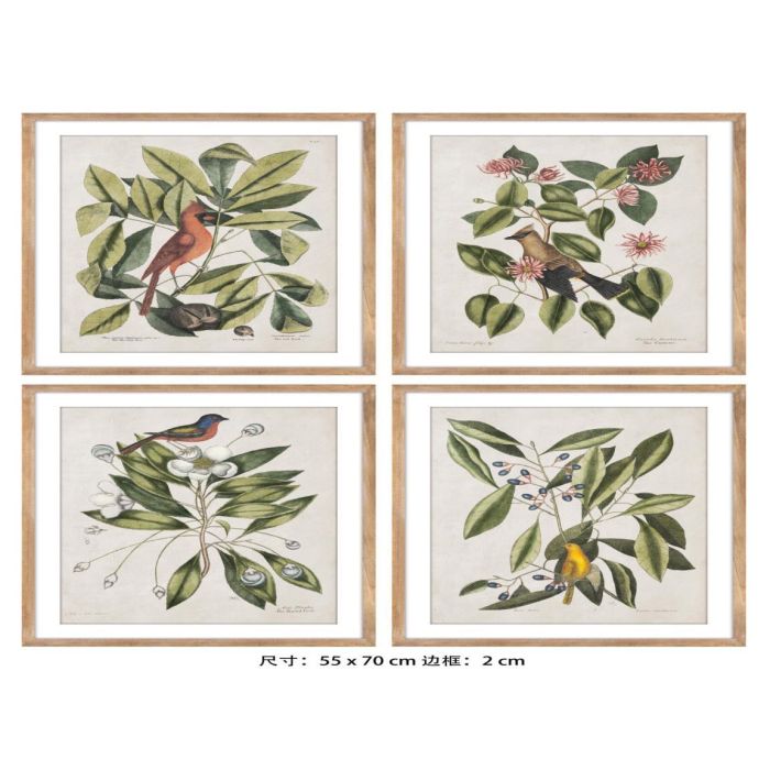 DKD Home Decor Cuadro de Pared Tropical Botanic Aves Verde Beige Natural, Madera Abeto y Cristal, 70x55x2.5 cm (4 Unidades)