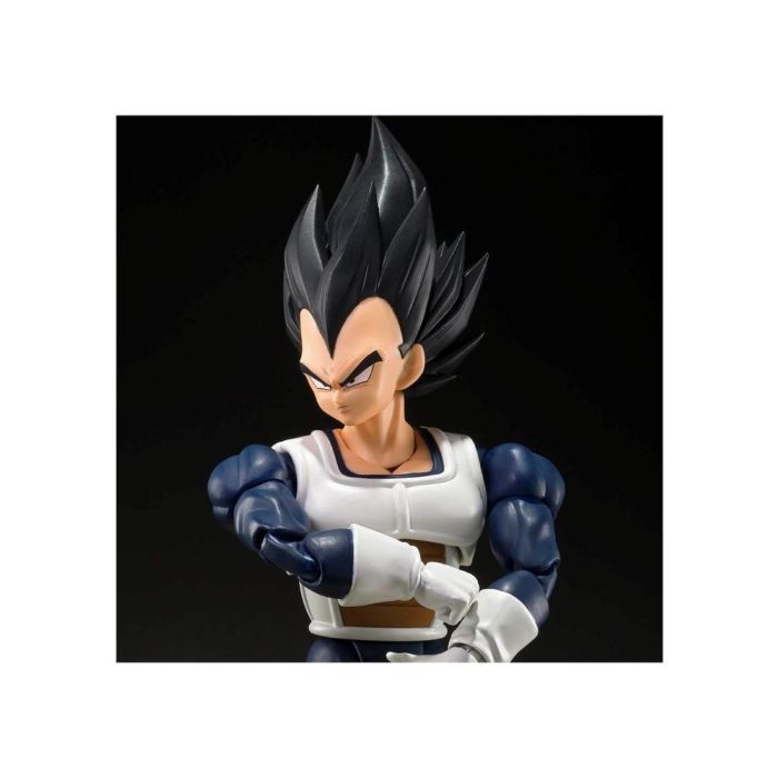 Vegeta - Old Battle Clothes - Fig. 14 2 Vegeta - Old Battle Clothes - Fig. 14 2