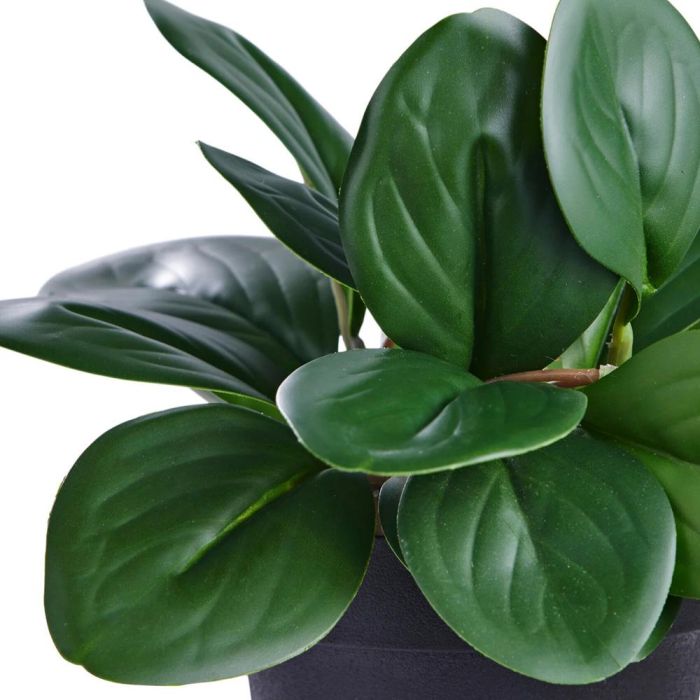 Planta Artificial Peperomia Day 1 Planta Artificial Peperomia Day 1