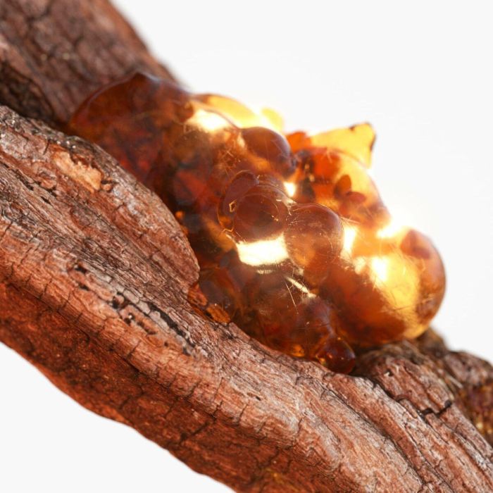 Tommy Hilfiger TOMMY NOW Eau de Toilette Vaporizador para Hombre 100 ml - Fragancia Vibrante y Juvenil para el Día a Día 4