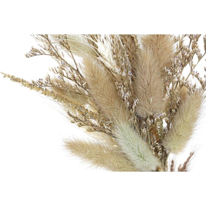 DKD Home Decor Decoración Shabby Beige y Marrón de Flor Seca y MDF 6x21x16 cm - Set de 2 Unidades 2 DKD Home Decor Decoración Shabby Beige y Marrón de Flor Seca y MDF 6x21x16 cm - Set de 2 Unidades 2