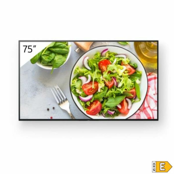 Monitor Sony PRO BRAVIA 75" 4K Ultra HD 60 Hz 4