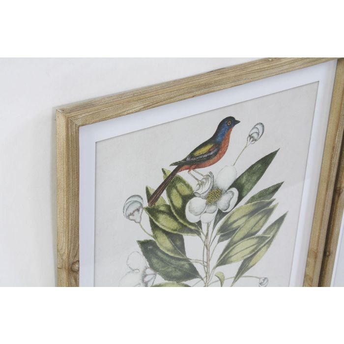 DKD Home Decor Cuadro de Pared Tropical Botanic Aves Verde Beige Natural, Madera Abeto y Cristal, 70x55x2.5 cm (4 Unidades) 1 DKD Home Decor Cuadro de Pared Tropical Botanic Aves Verde Beige Natural, Madera Abeto y Cristal, 70x55x2.5 cm (4 Unidades) 1
